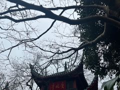 -岳麓山风景名胜区