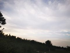 -汉长安城未央宫国家考古遗址公园