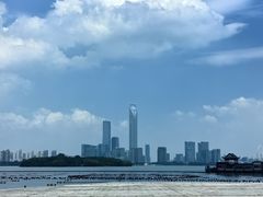 -金鸡湖游船(月光码头)