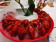 -新日月育才大酒店-中餐厅(环城北路店)