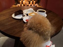 -MUSEE CAFE(保利·时光里店)