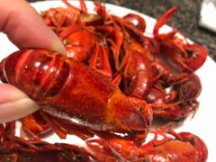 -上海齐鲁万怡大酒店·辣椒屋咖啡厅