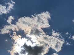 -绿岛公园(滨海新区)