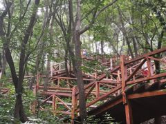 -大岭沟猕猴桃谷风景区