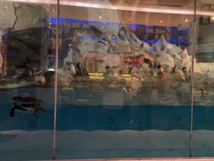 -帝企鹅自助餐厅•儿童岛•真企鹅(长隆企鹅酒店)