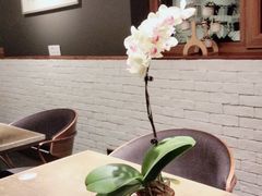 -BOCATA 西班牙餐厅(三里屯店)