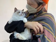 -Heymao猫咖.咖啡厅(东门店)