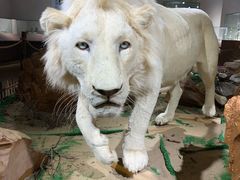 -陕西自然博物馆