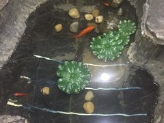 -新华书店(新街口旗舰店)