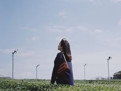 -雪绿茶博物馆
