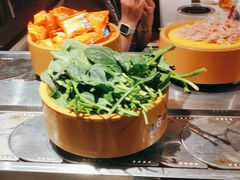 -龍歌自助小火锅(崂山丽达店)