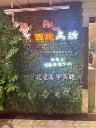 -西施无菌半永久纹绣眉眼影唇轻增发纹发际线