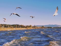 -呈贡滇池生态湿地公园