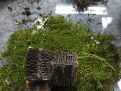 -清岚画室少儿美术培训(平江校区)