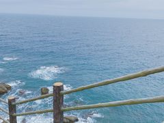 -广东惠东海龟国家级自然保护区