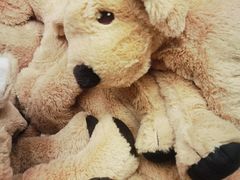 -宜家家居(四元桥商场店)