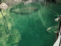 -白云源风景区