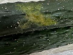 -大润发(东关世茂店)