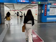 -大望路(地铁站)