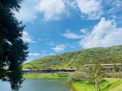 -仰天湖大草原