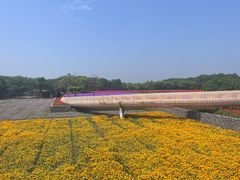-江苏三台山国家森林公园
