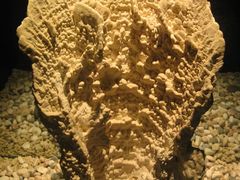 -亚龙湾中心广场·贝壳馆