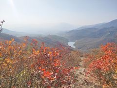 -北京西山国家森林公园