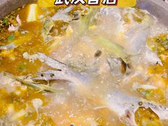 -石锅苗苗鱼(武汉首店)