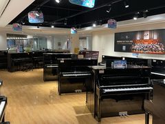 -柏斯音乐艺术中心·钢琴·吉他(上音店)