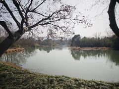 -西溪国家湿地公园