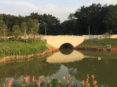 -王借岗森林公园