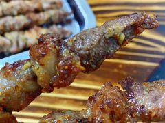 -民族烤羊·烤羊肉串·烤羊排(南城店)