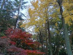 -虞山风景区