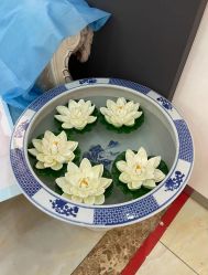 -紫洁俪方（北京）医疗美容