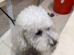 -暖阳宠物医院·犬猫康复中心·骨科