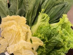 -渝井巷重庆老火锅(沈阳吉祥店)
