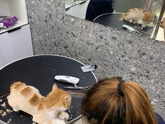 -萌兽医馆·绝育·24小时内科·宠物医院(德胜店)