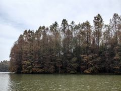 -上海海湾国家森林公园