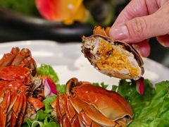 -望乡楼上海菜(日月光店)