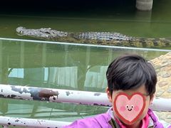 -石家庄市动物园