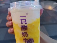 -一只酸奶牛(八一路店)