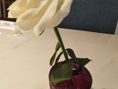 -伊斯坦布尔土耳其清真咖啡餐厅