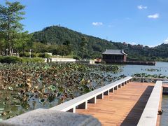 -顺峰山公园