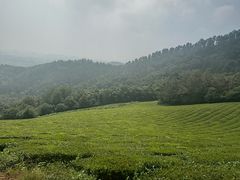 -敬亭山风景名胜区