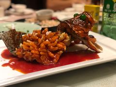 -松鹤楼(狮山永利广场店)