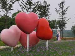 -东郊湿地公园
