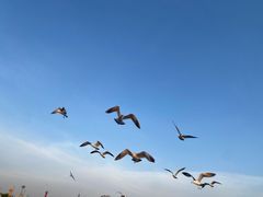 -星海广场