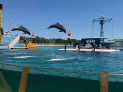 -秦皇岛乐岛海洋王国