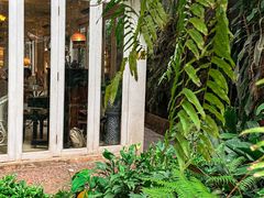 -Fern Forest Cafe