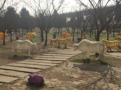 -秀丽东方